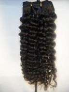 100% Pure Virgin Brazilian Curly