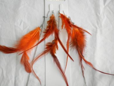 Long Feather Earrings